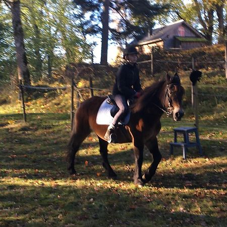 Henneviken Bnb Ed Bagian luar foto