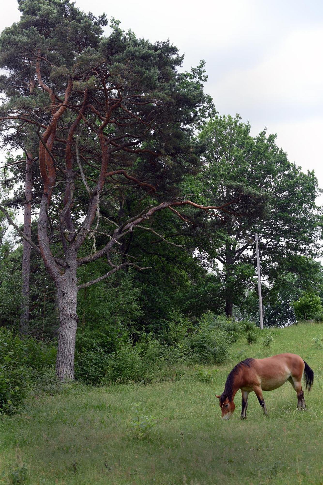 Henneviken Bnb Ed Bagian luar foto