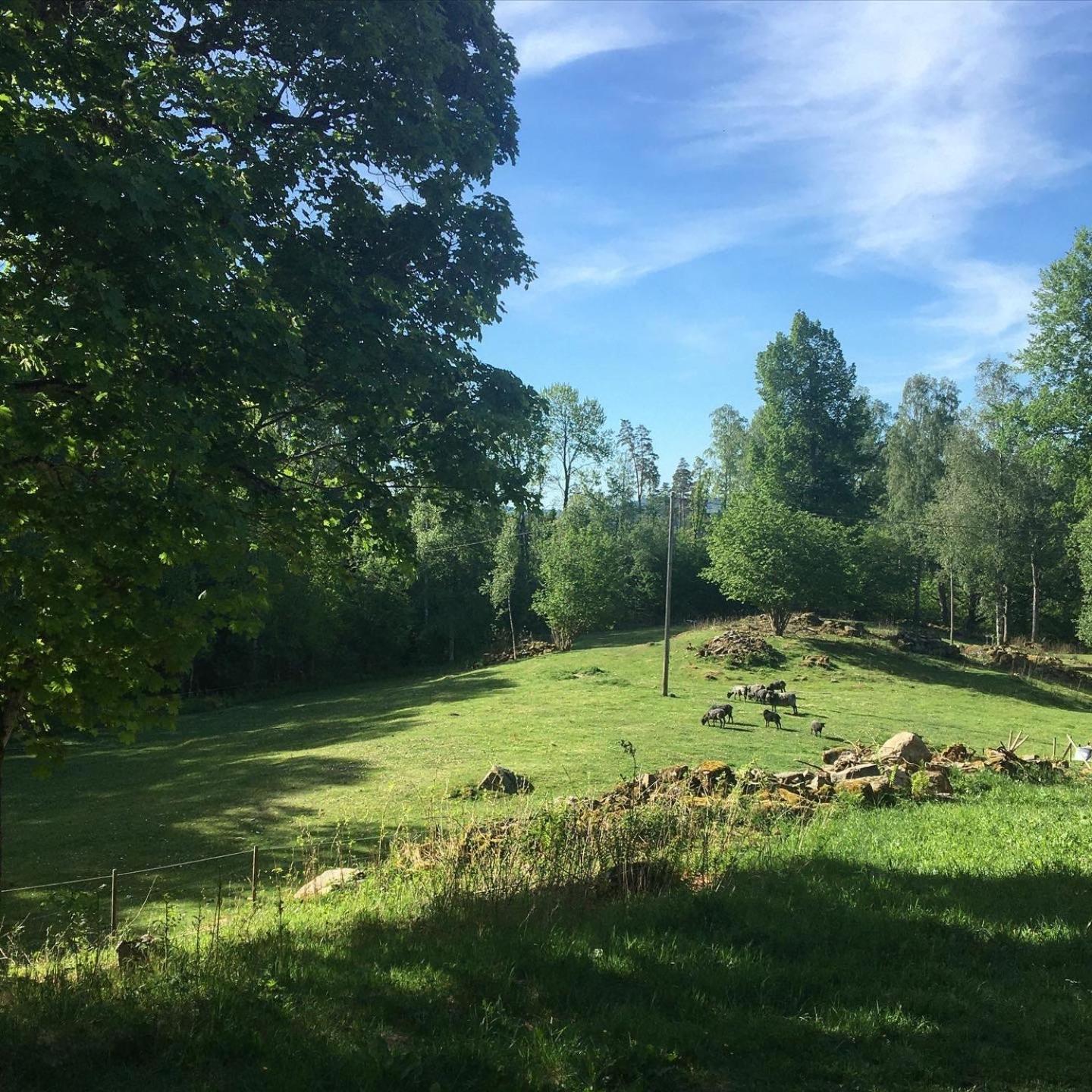 Henneviken Bnb Ed Bagian luar foto