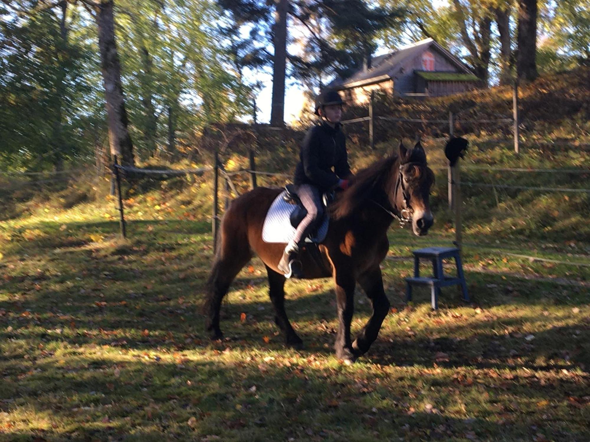 Henneviken Bnb Ed Bagian luar foto